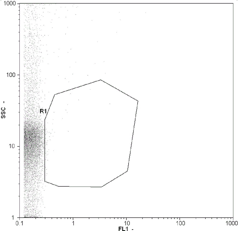 FCM (flow cytometry) based method for quickly and quantitatively detecting total viruses in freshwater environment