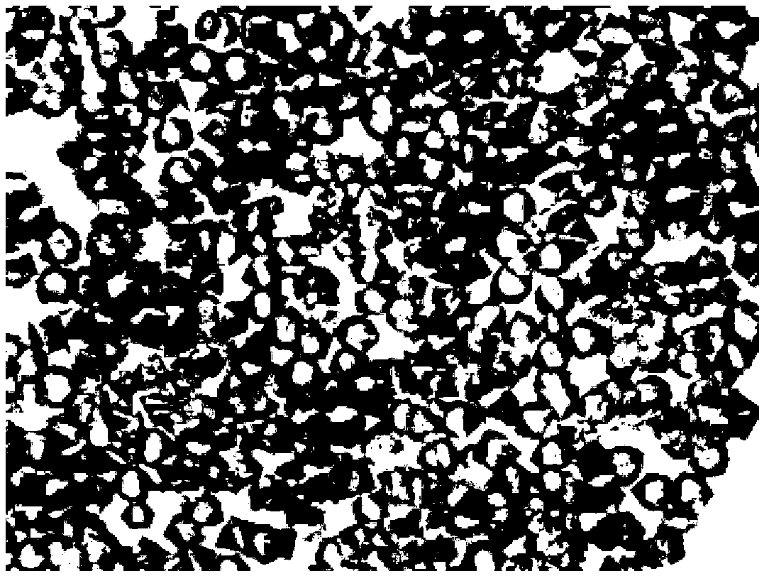 Porous copper organic framework material for CO2 adsorption and separation and preparation method of porous copper organic framework material