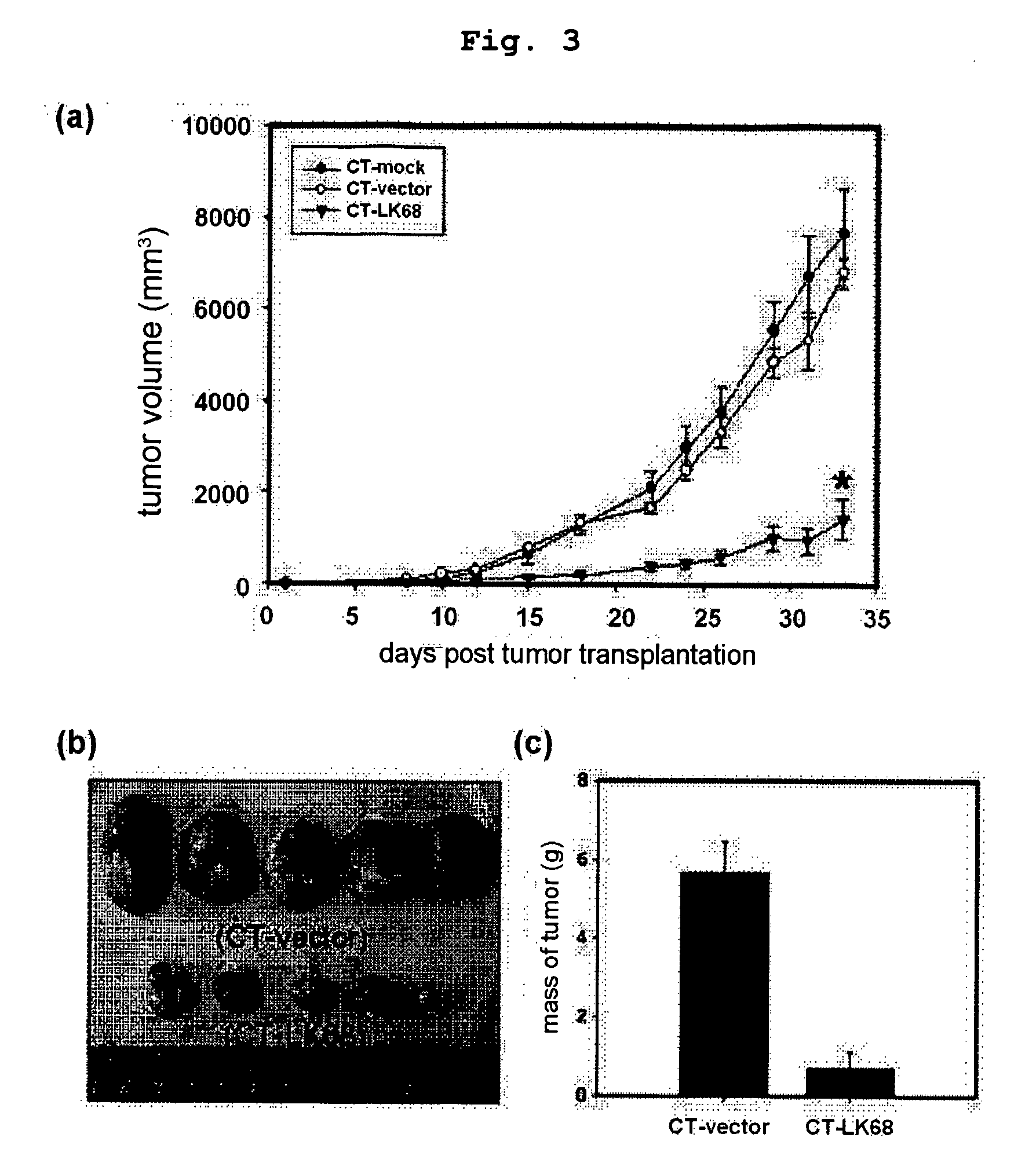 Therapeutic agent for treatment of cancer comprising human apolipoprotein (a) kringles lk68 or lk8 genes as effective ingredient, and method for treating cancer using the same