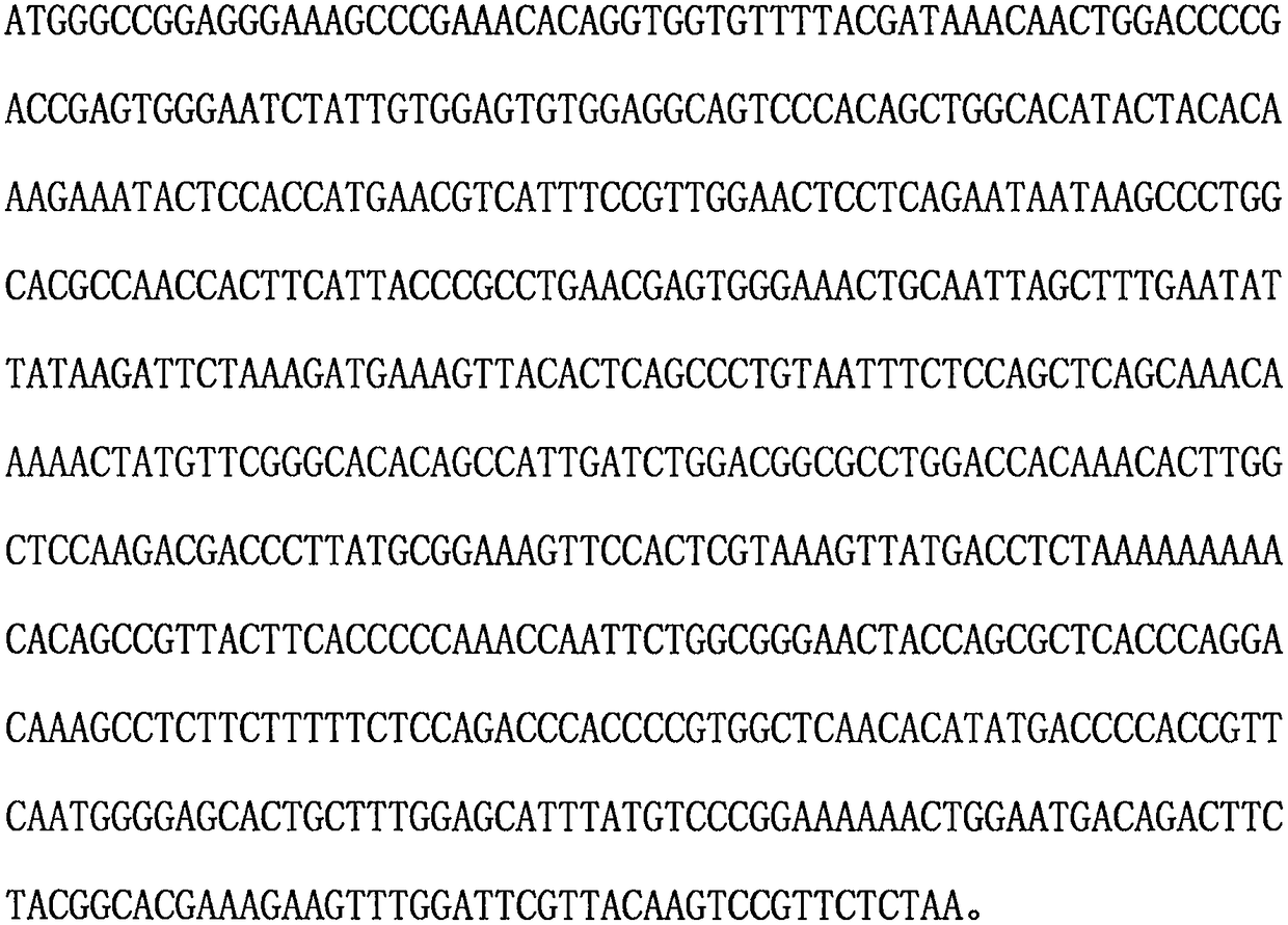 Porcine circovirus type 3 genetic engineering subunit vaccine and preparation method thereof