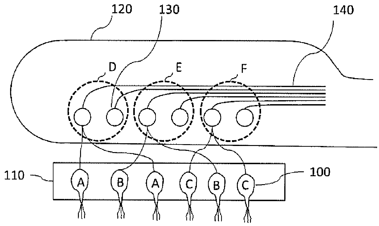 Olfactory implant system