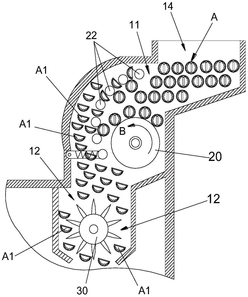 Walnut shelling machine