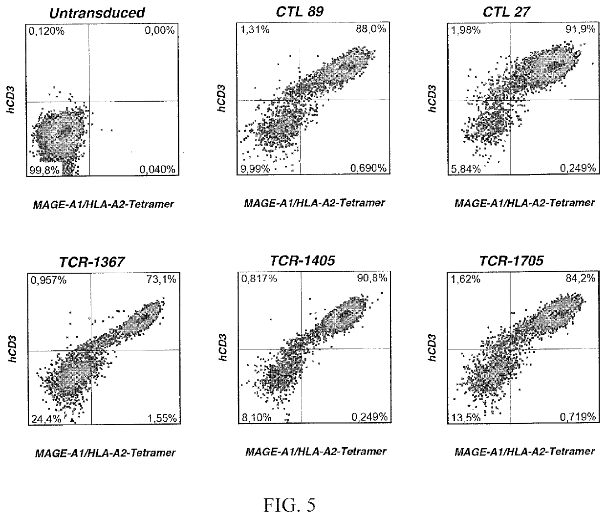 High avidity antigen recognizing constructs