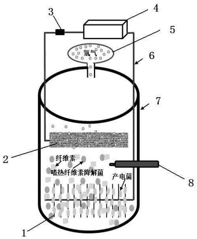 A method for efficient hydrogen recovery from cellulose by synergistic utilization of thermophilic flora based on microbial electrolysis cells