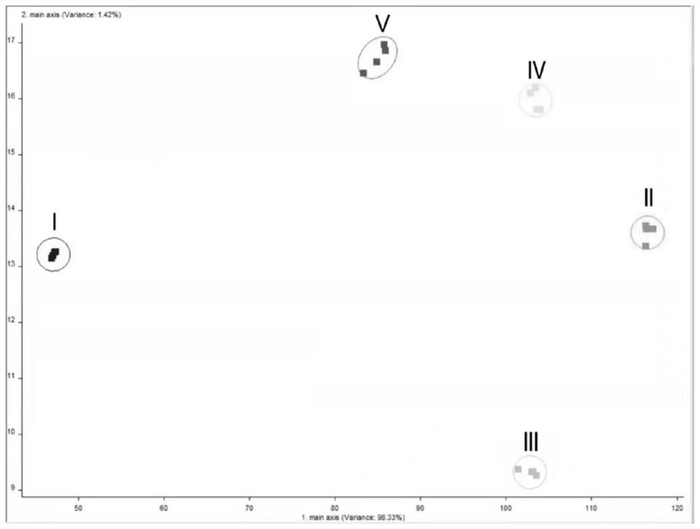 Extraction method and application of salt-tolerant yeast