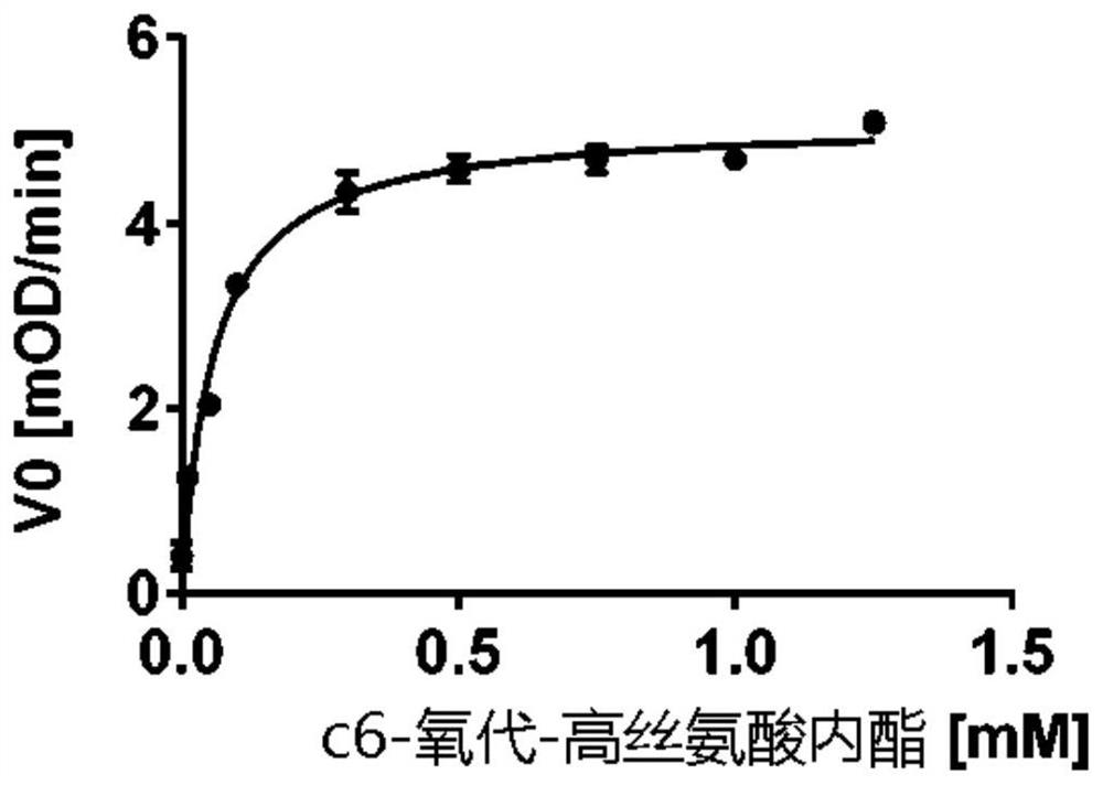 Stable mutants of quorum quenching lactonase and their use in treatment of pathogens