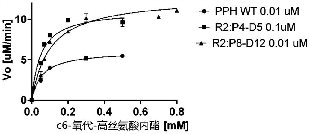 Stable mutants of quorum quenching lactonase and their use in treatment of pathogens