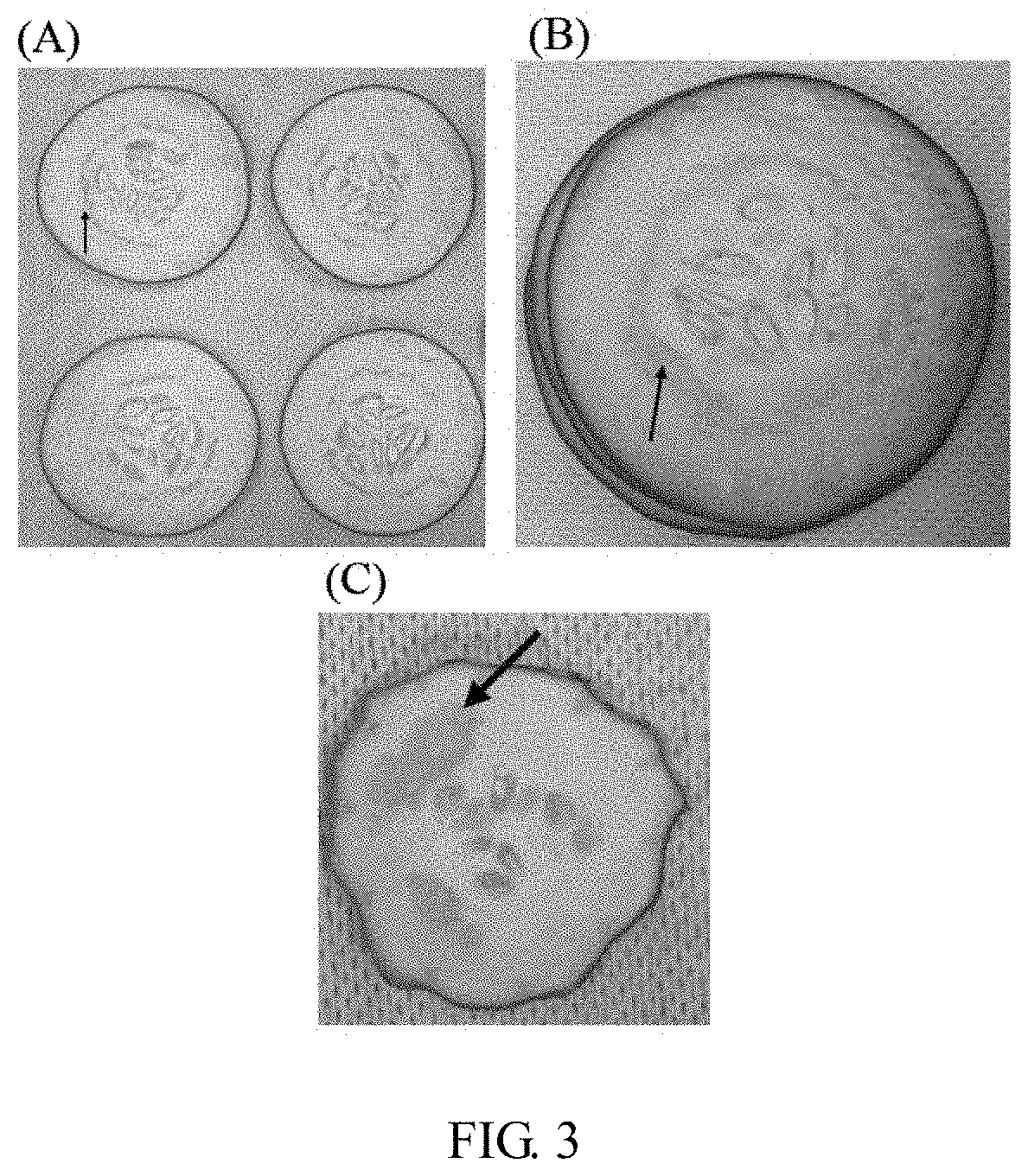 Mask substrate and kit including the same