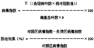 A kind of biological agent for preventing and treating wheat powdery mildew and preparation method thereof