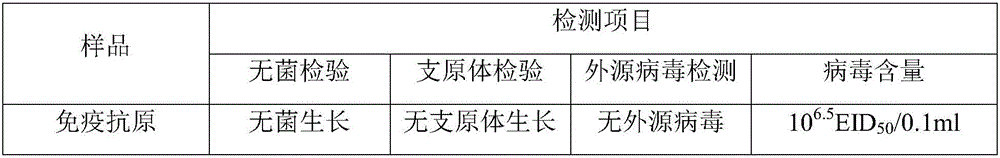 Method for preparing infectious bronchitis positive serum by using SPF chicken