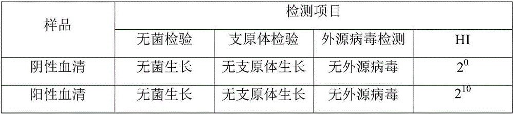 Method for preparing infectious bronchitis positive serum by using SPF chicken