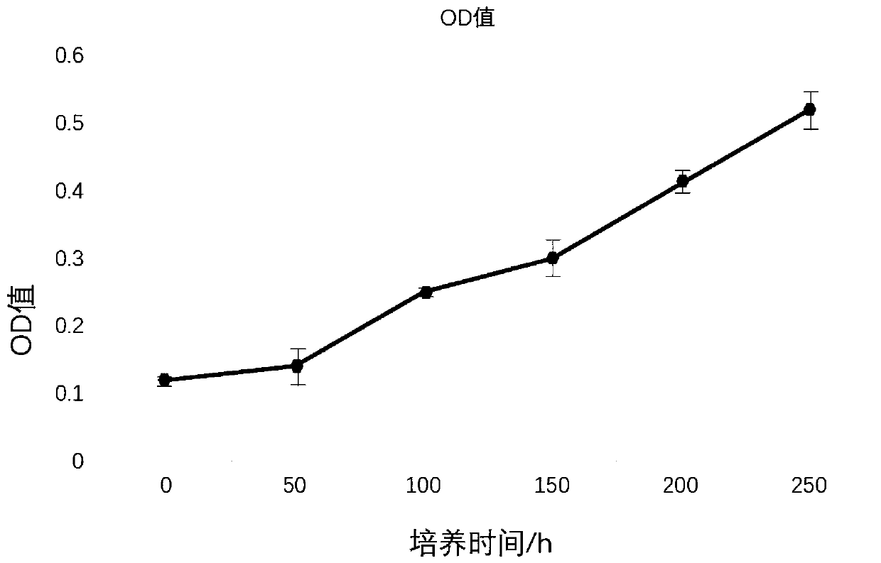 Adipose-derived stem cell rapid culture and differentiation method