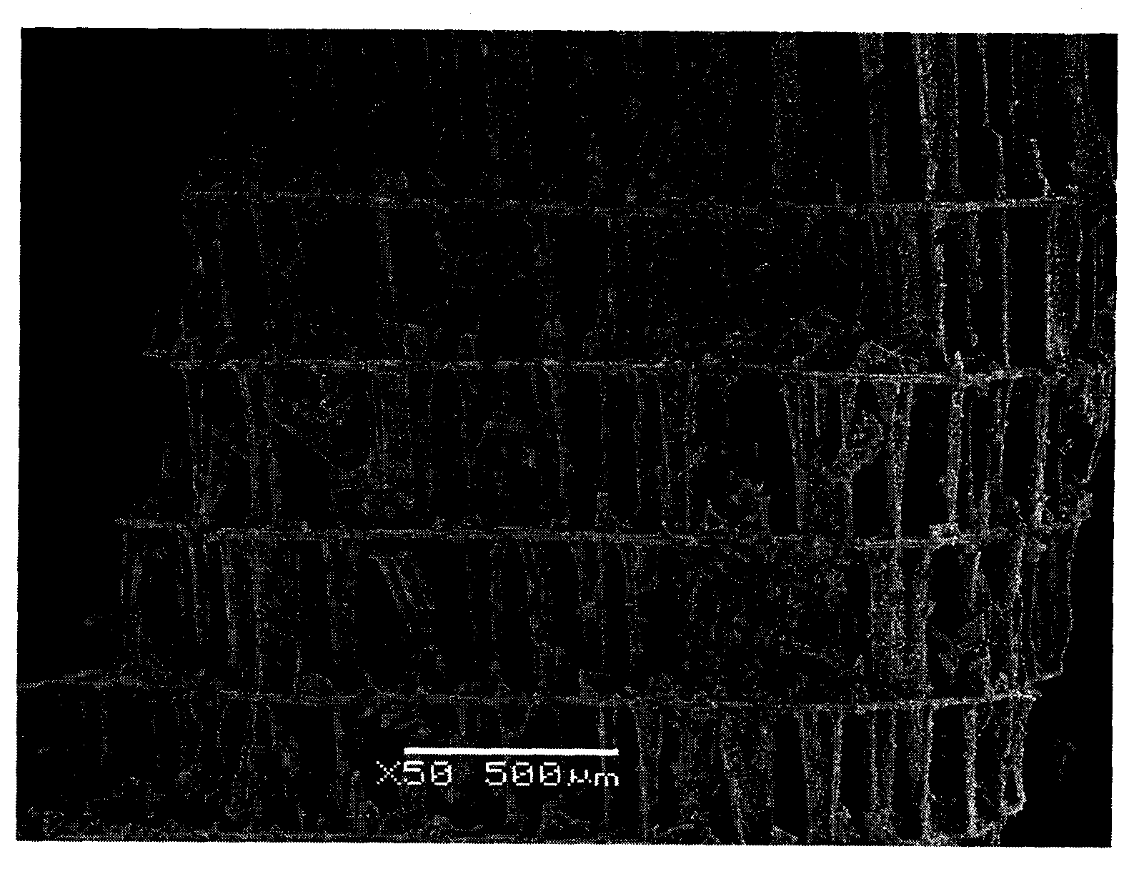 Multi-phase large-aperture bone regeneration bracket material transformed from cuttlebone and preparation method thereof