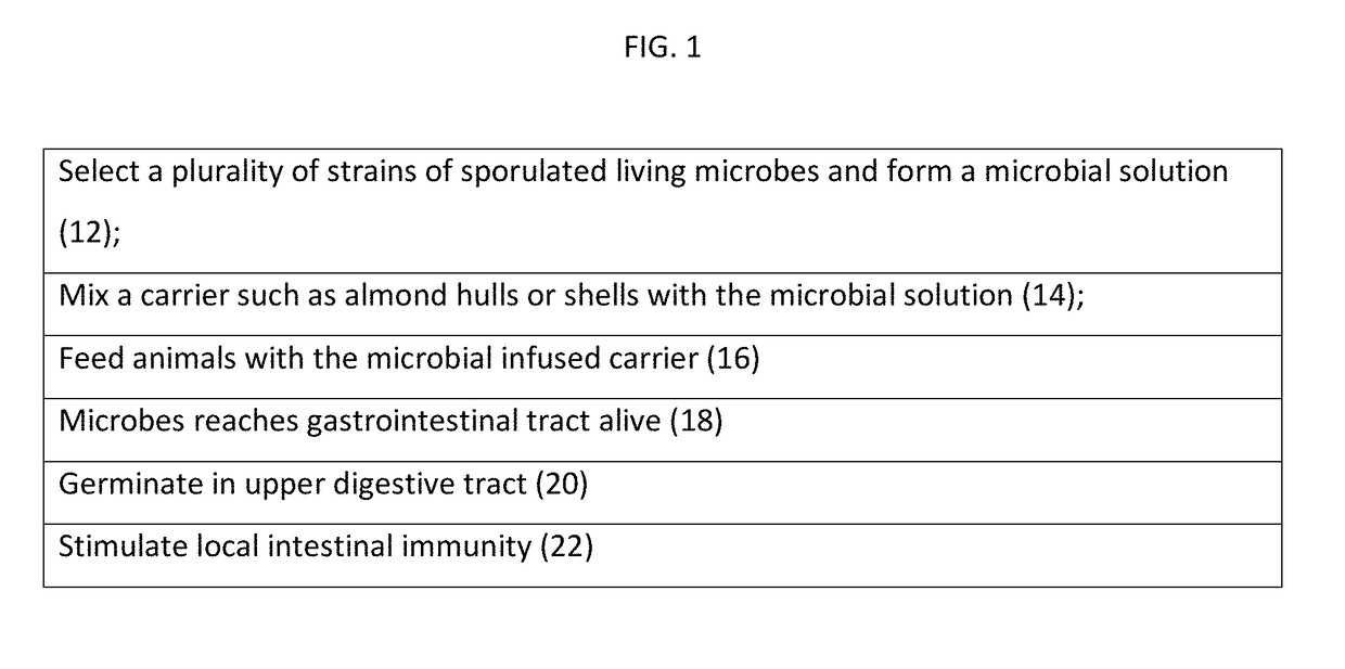 Animal feed stock using microbial enhancement