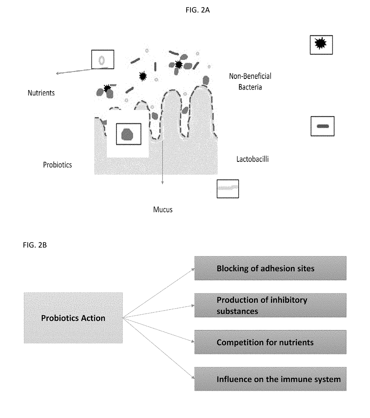 Animal feed stock using microbial enhancement