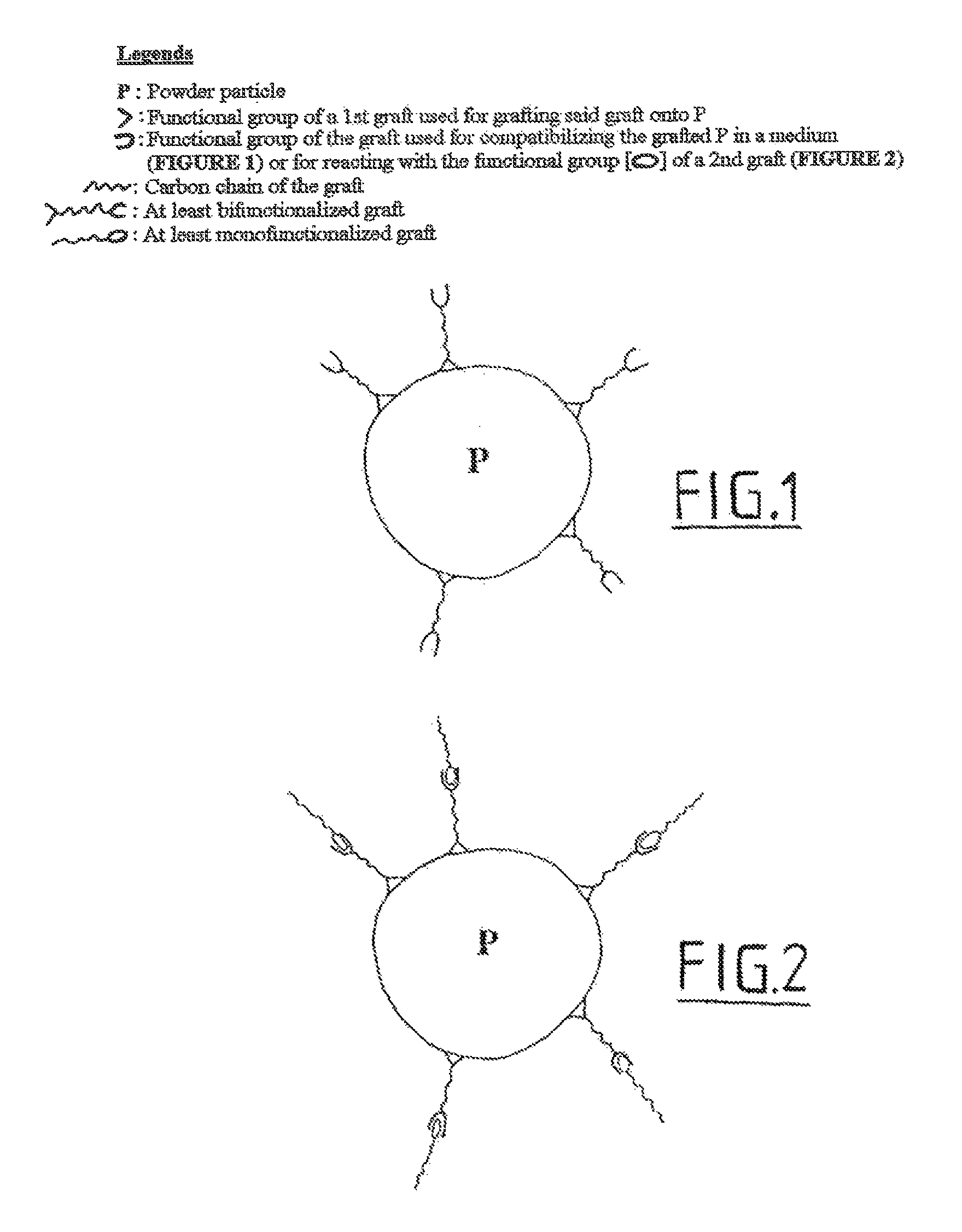 Grafting onto a polyamide powder by gamma-irradiation