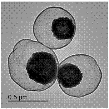 Preparation method of magnetic carbon nanocages