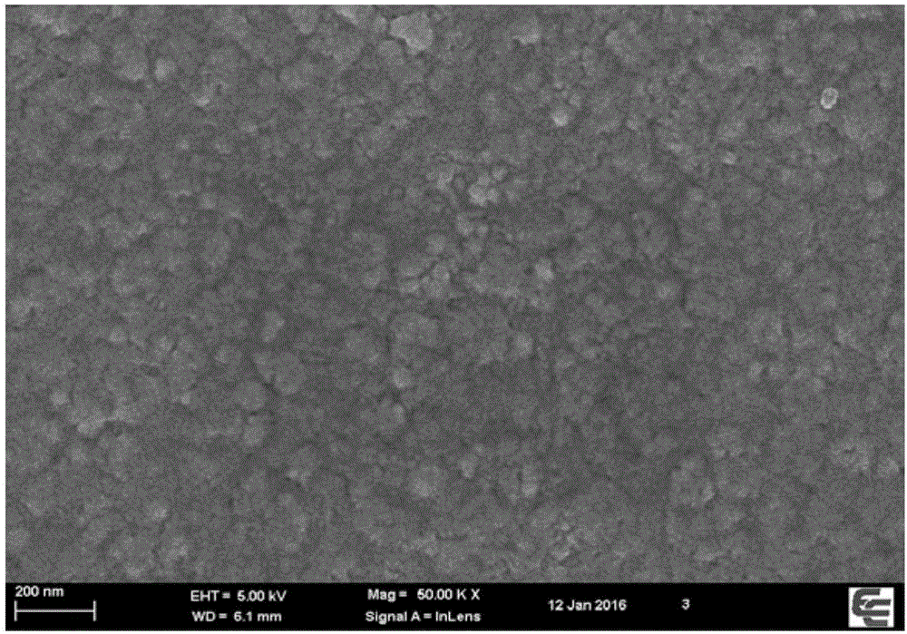 Magnetic molecular imprinting electrochemical sensor for detecting trace sulfadimidine