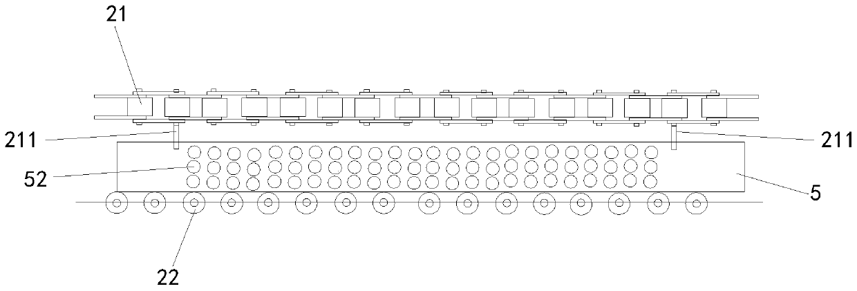 Hermetia illucens egg collection device and collection method thereof