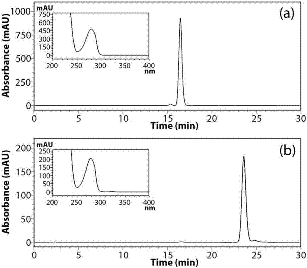 Method for separating and purifying capsaicin and dihydrocapsaicin from pepper fruits