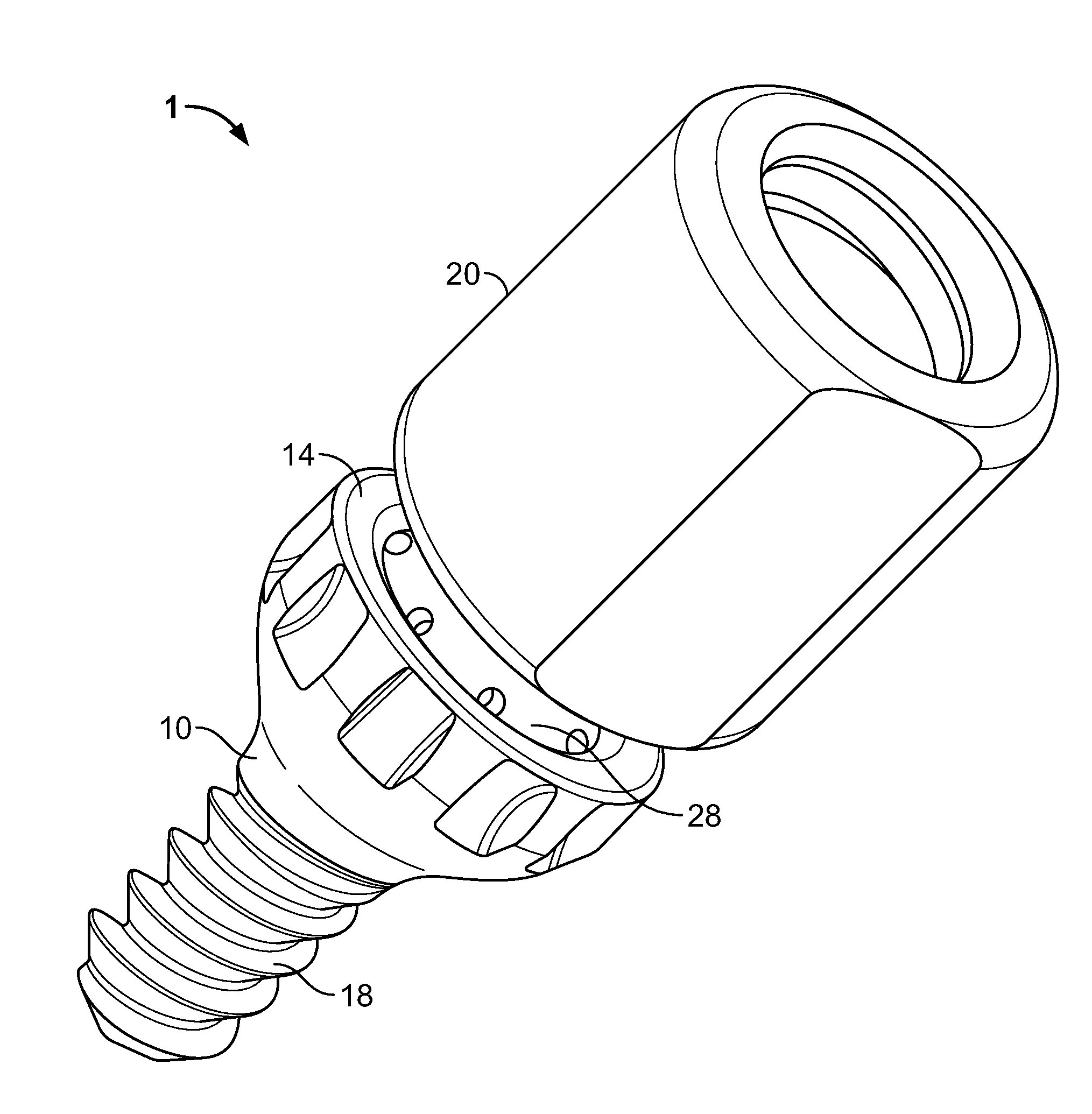 Polyaxial Dental Implant