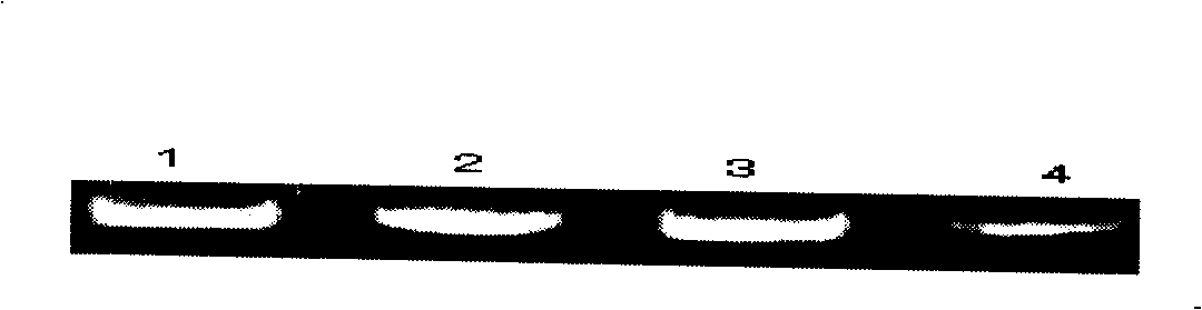 Pellosil activate fluid and applications thereof for extracting nucleic acid