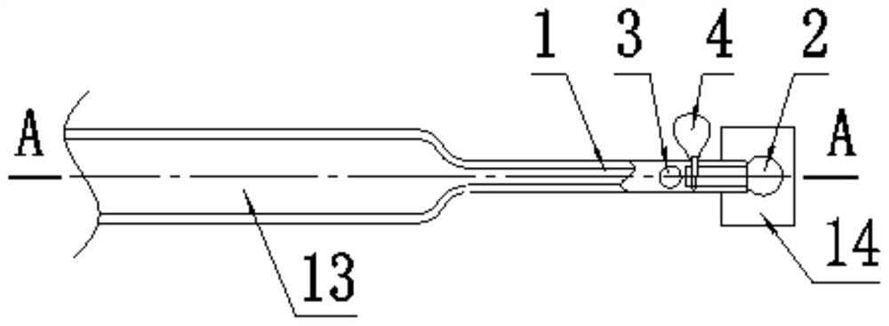 Dead shrimp sorting device