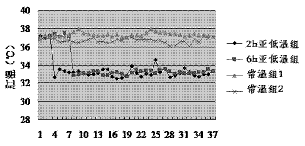 Preparation method for rat mild hypothermia animal model