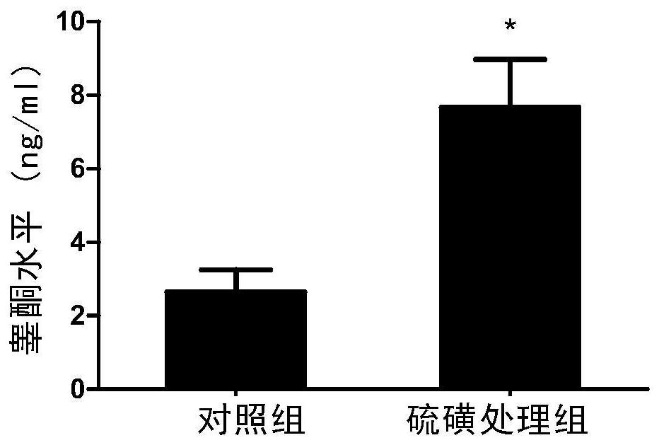 Application of sulfur in preparation of composition for increasing testosterone level or improving intestinal flora