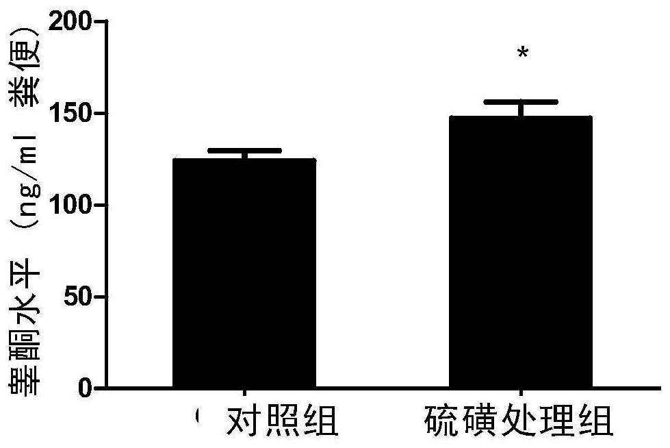 Application of sulfur in preparation of composition for increasing testosterone level or improving intestinal flora