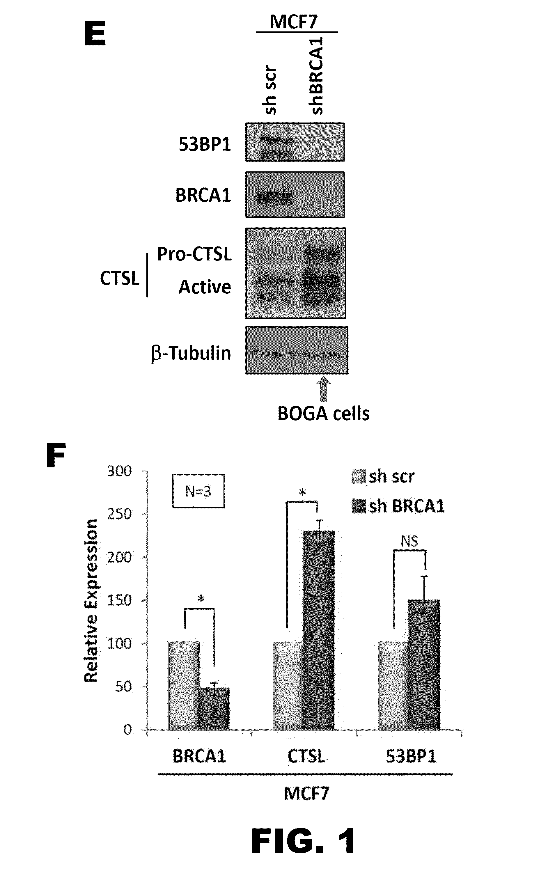 Method of identifying triple negative breast cancer