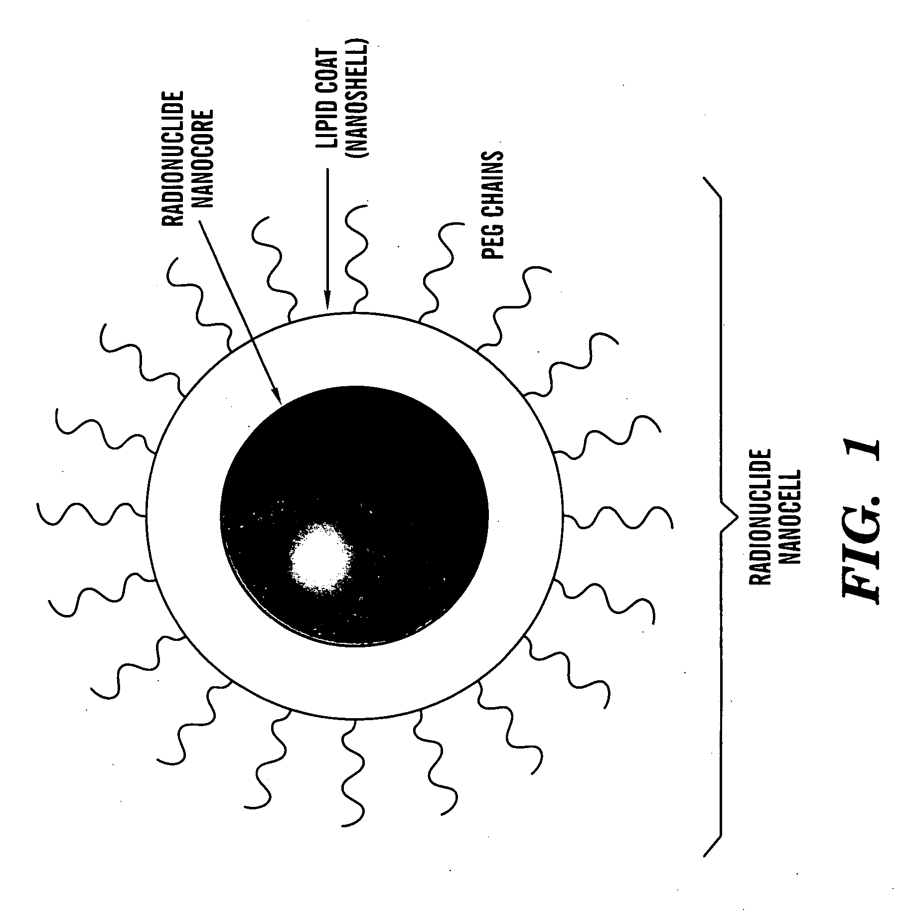 Nanocells for diagnosis and treatment of diseases and disorders