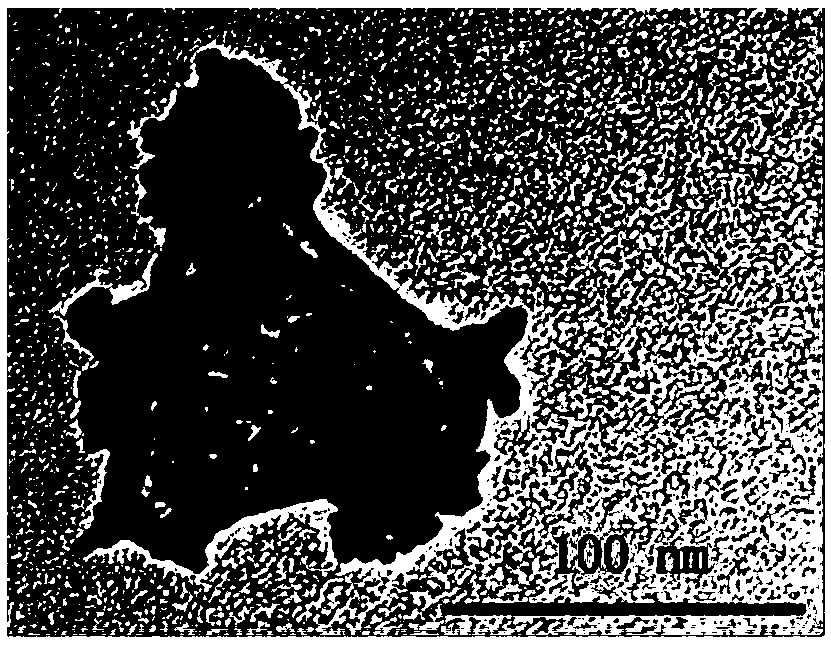 Electrochemical sensor constructed based on nitrogen-sulfur co-doped graphene-loaded triangular core-shell nanocomposite, and application thereof for detecting quercetin