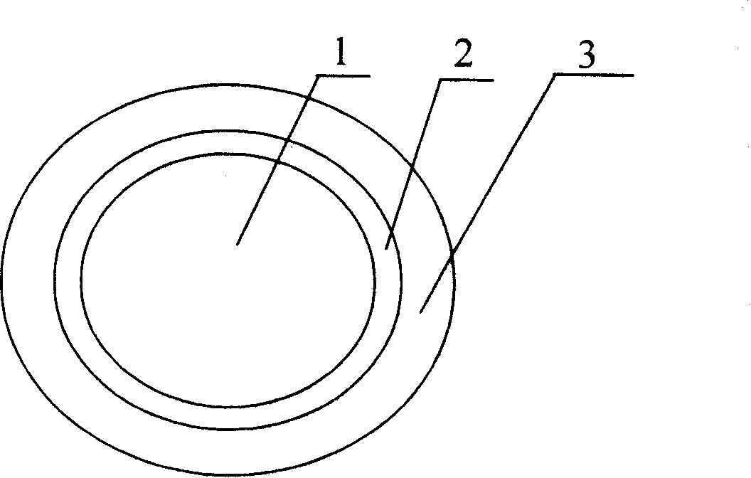 Method for continuously preparing phase step type plastics optical fibre by multi-layer co-extruded method