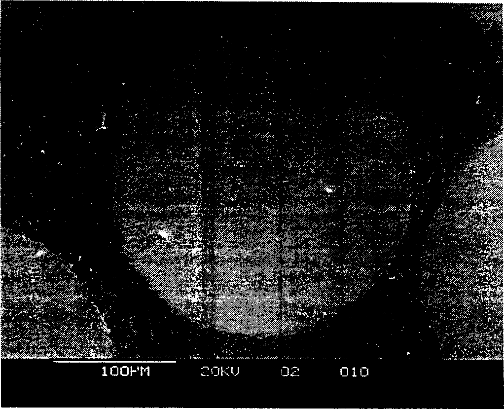 Method of preparing large non crystal/fiber composite material and tis equipment