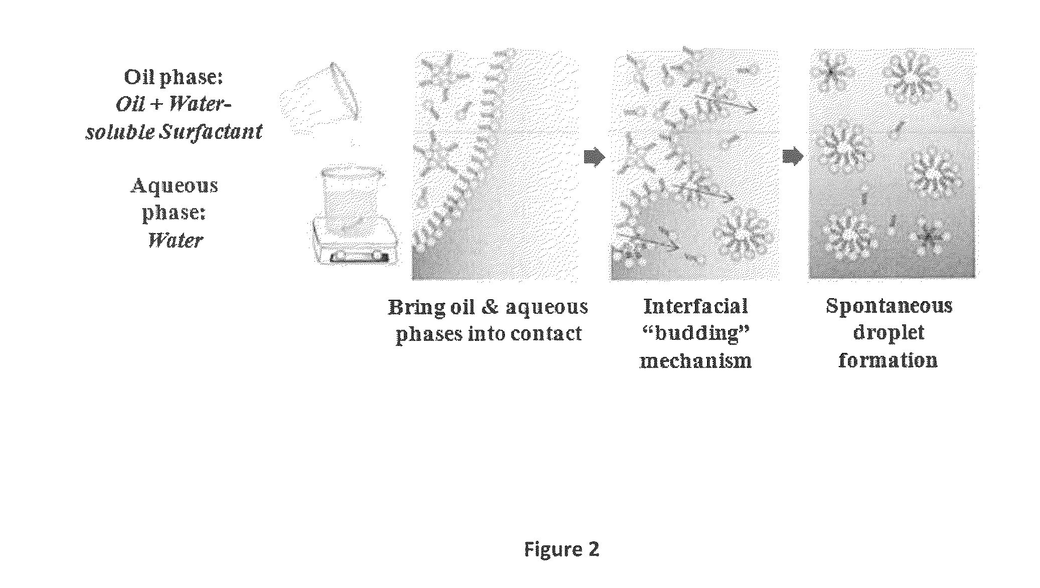 Methods for producing optimal stable nanoemulsions and formulations obtained therefrom