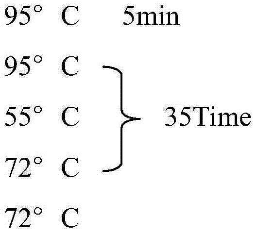 PCR (polymerase chain reaction) reaction solution and kit, and PCR method