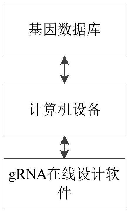 Automatic screening method, system and device for gene editing sites and storage medium