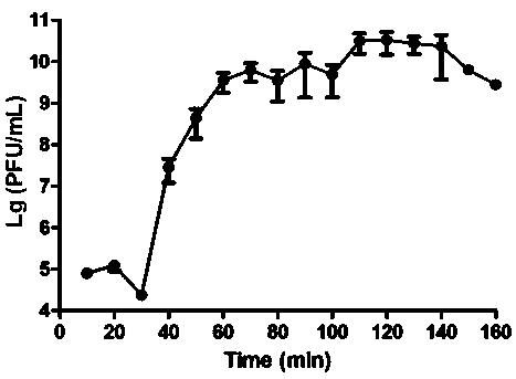 Acinetobacter baumannii bacteriophage and medical application