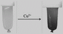 Method for preparing carboxymethyl chitosan film through dialysis and application of carboxymethyl chitosan film