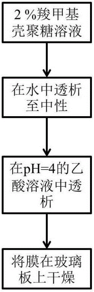 Method for preparing carboxymethyl chitosan film through dialysis and application of carboxymethyl chitosan film