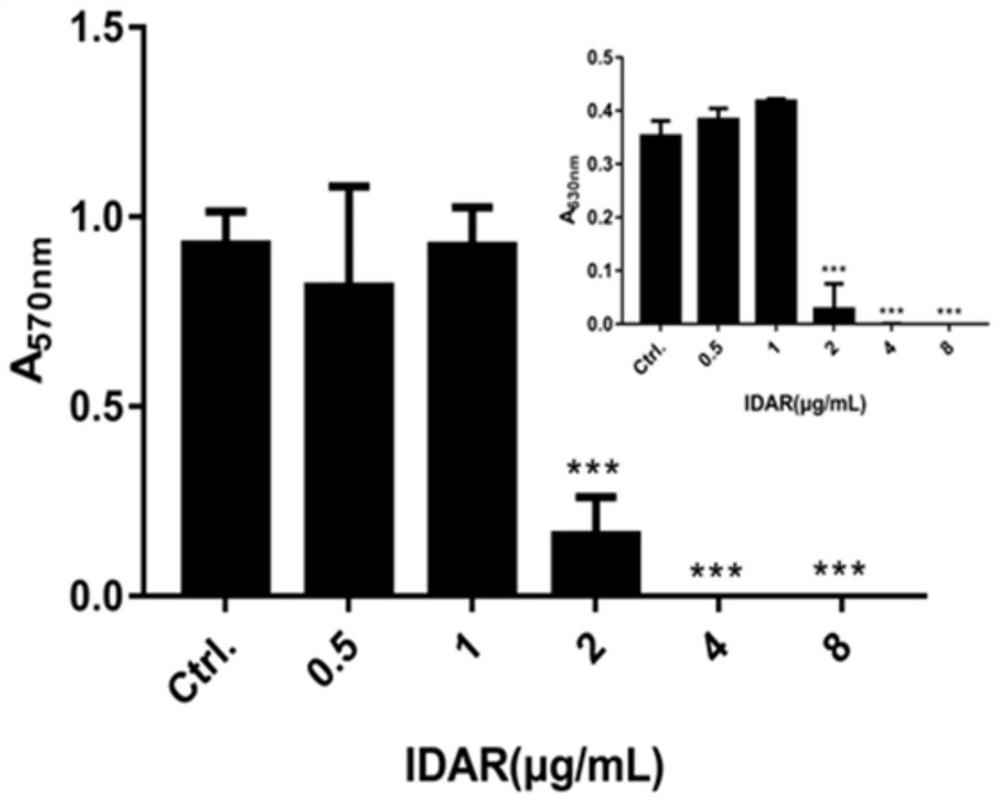 Antibacterial drug and application thereof