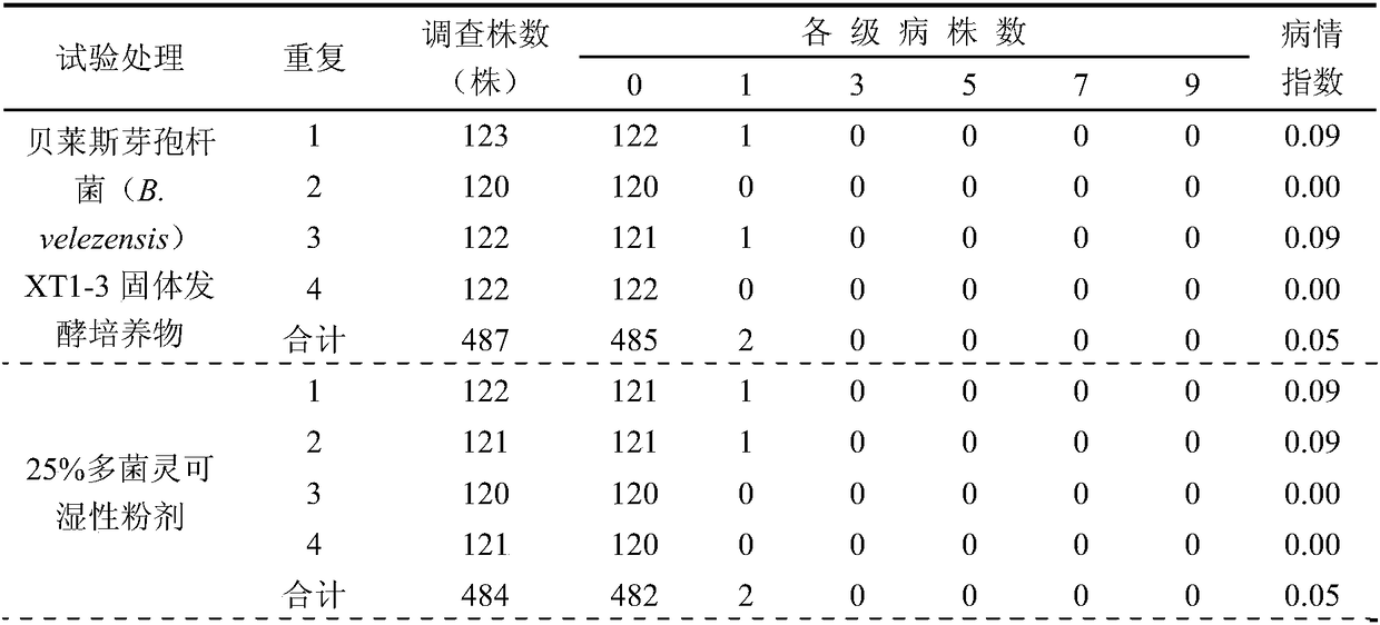 Bacillus velezensis and application thereof in prevention and control of watermelon fusarium wilt