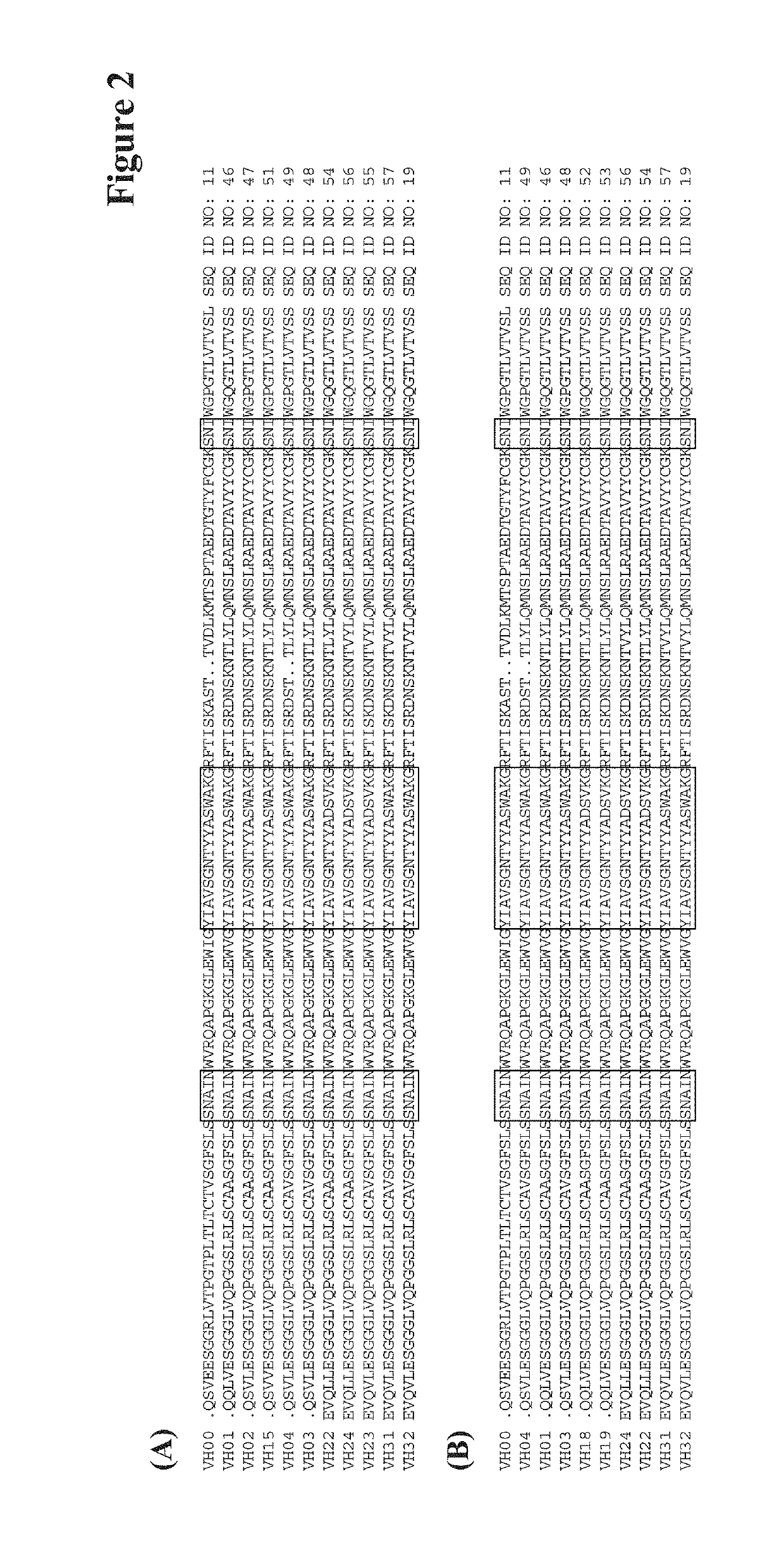 Humanized anti-tau(pS422) antibody brain shuttles and use thereof