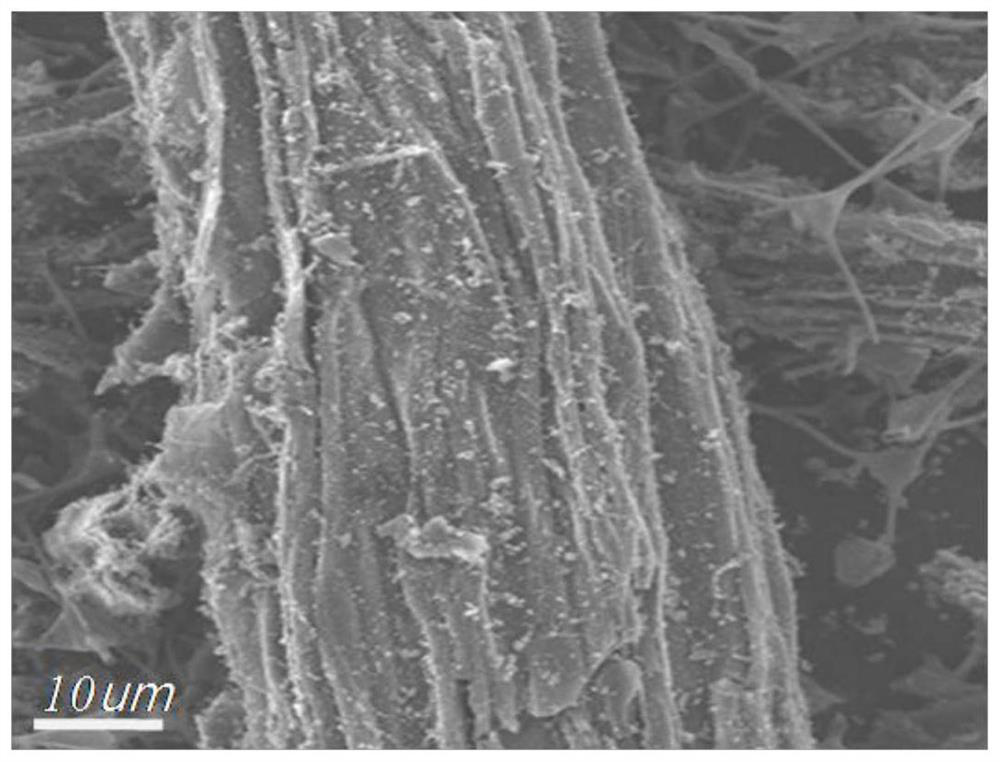 A kind of method for preparing three-dimensional graphene/nickel foam composite material