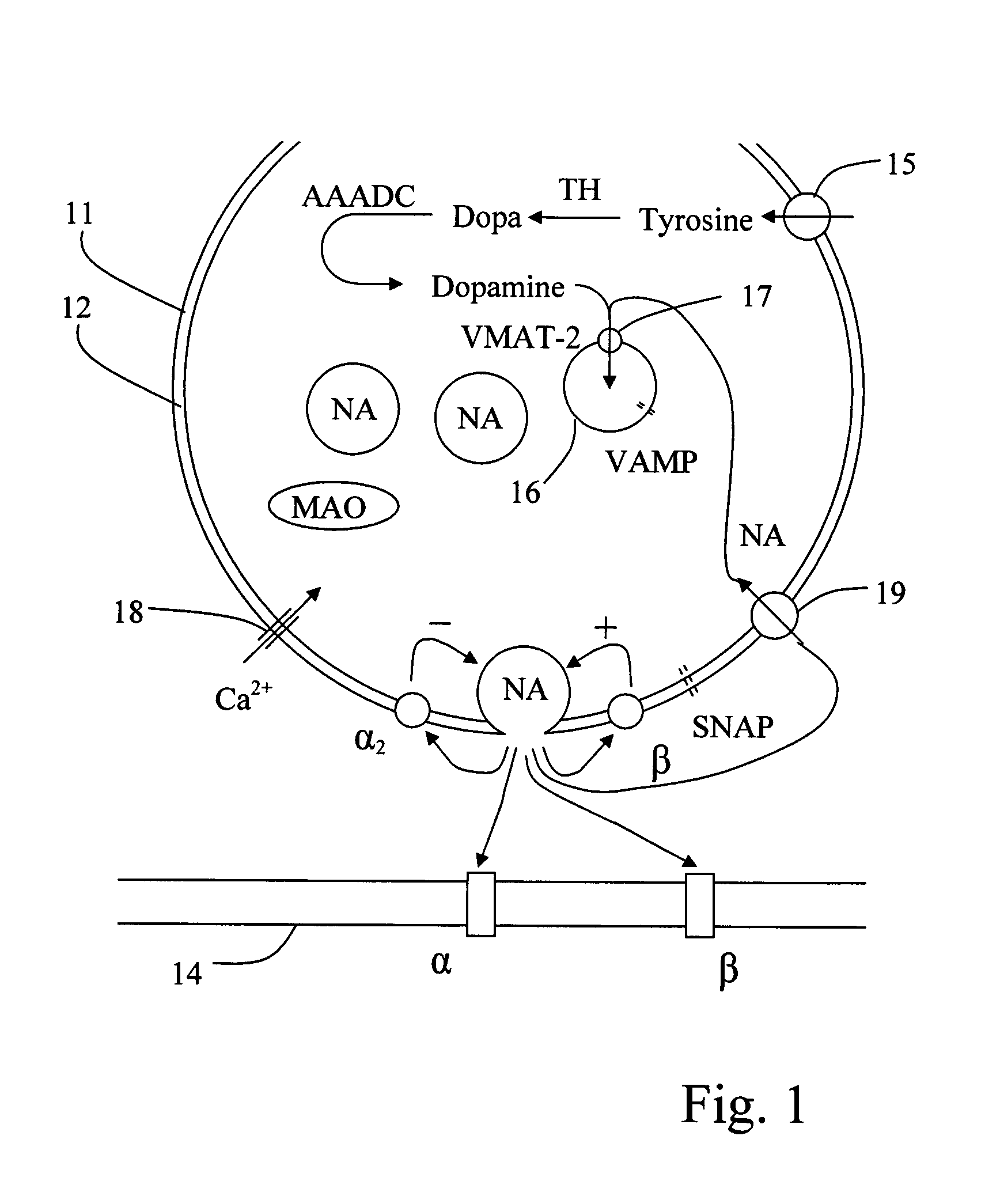 Medical fluid, a method of treatment and use of the fluid