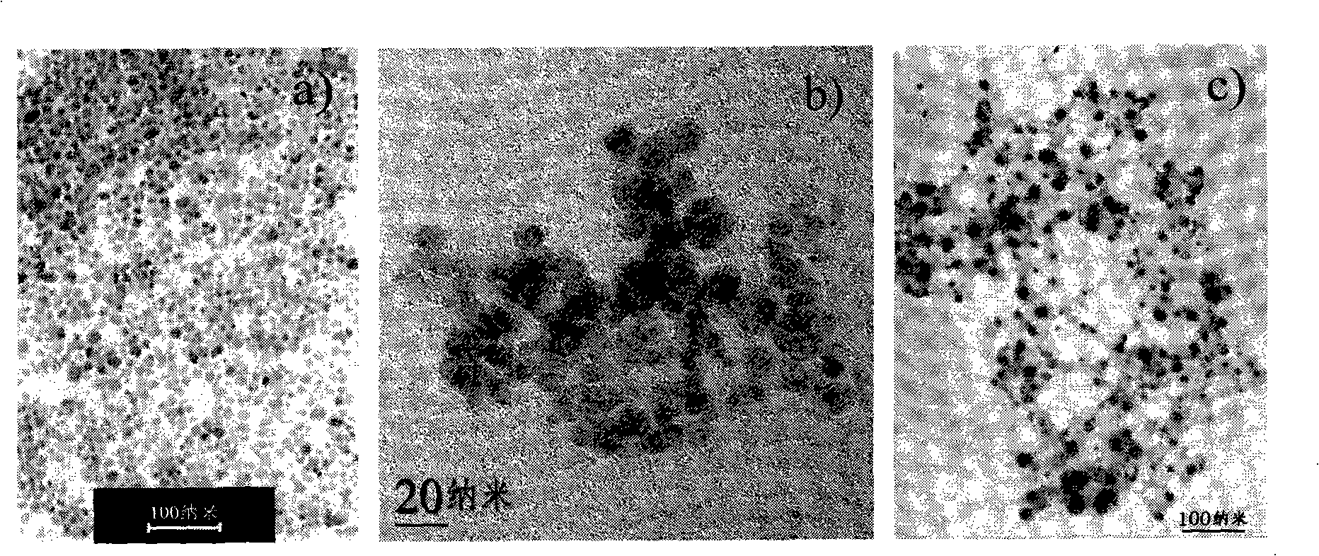 Amido modified magnetic nano-particle and method for preparing immune magnetic nano-separation agent