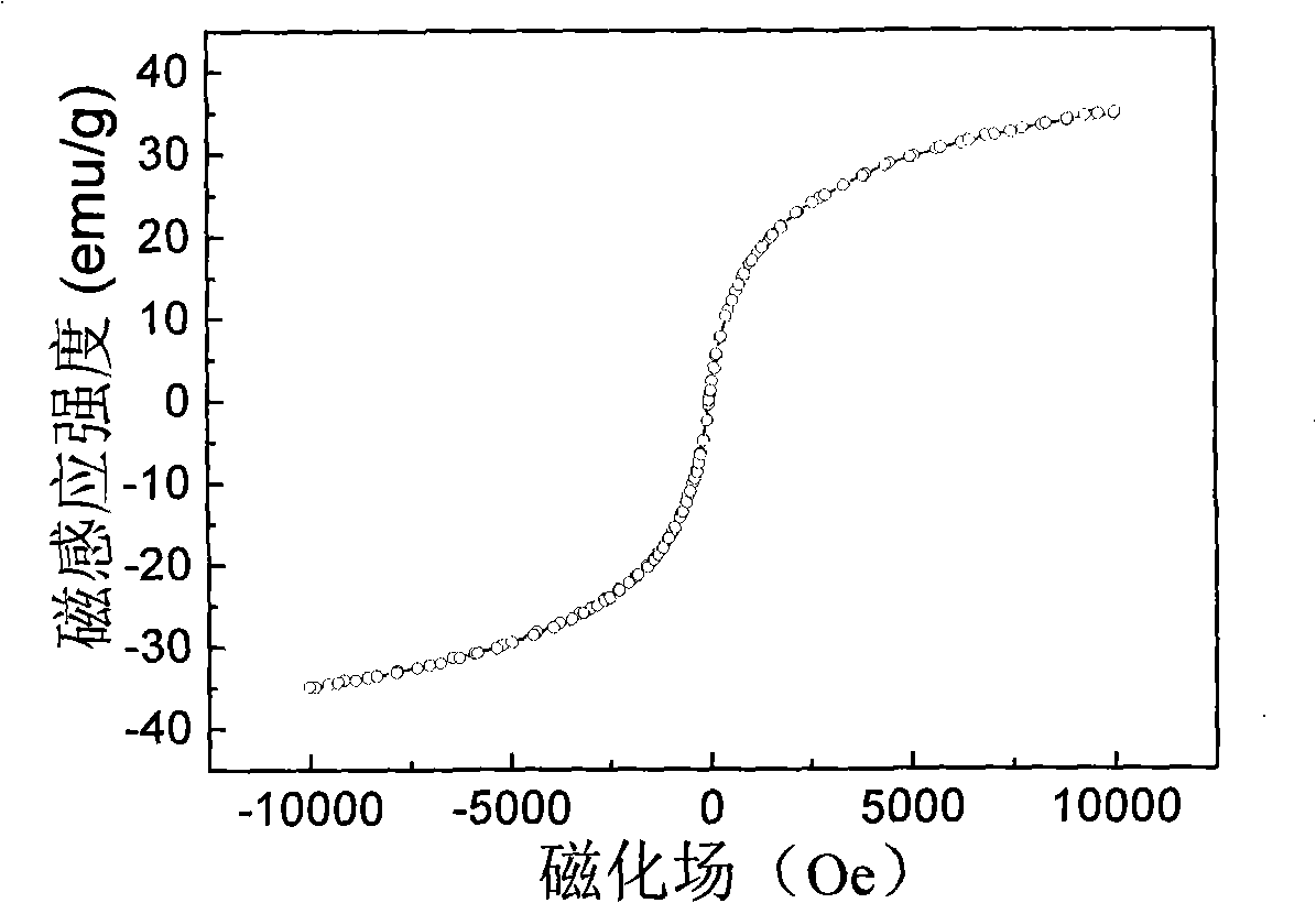 Amido modified magnetic nano-particle and method for preparing immune magnetic nano-separation agent