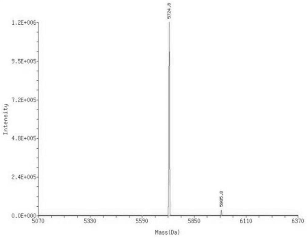 Immunoadjuvant and its application in diffuse large b-cell lymphoma