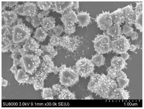 Method for synchronous fluorescence detection of chloramphenicol based on Cu/UiO-66 metal organic framework quenching